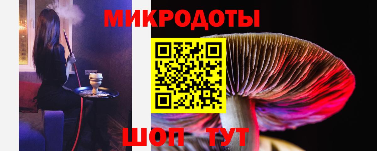 Галлюциногенные грибы Psilocybine cubensis Ухта